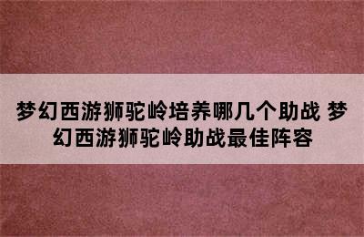 梦幻西游狮驼岭培养哪几个助战 梦幻西游狮驼岭助战最佳阵容